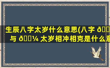 生辰八字太岁什么意思(八字 🐒 与 🌼 太岁相冲相克是什么意思)